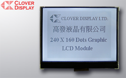 240 x 160 Dots with Touch Panel as an option